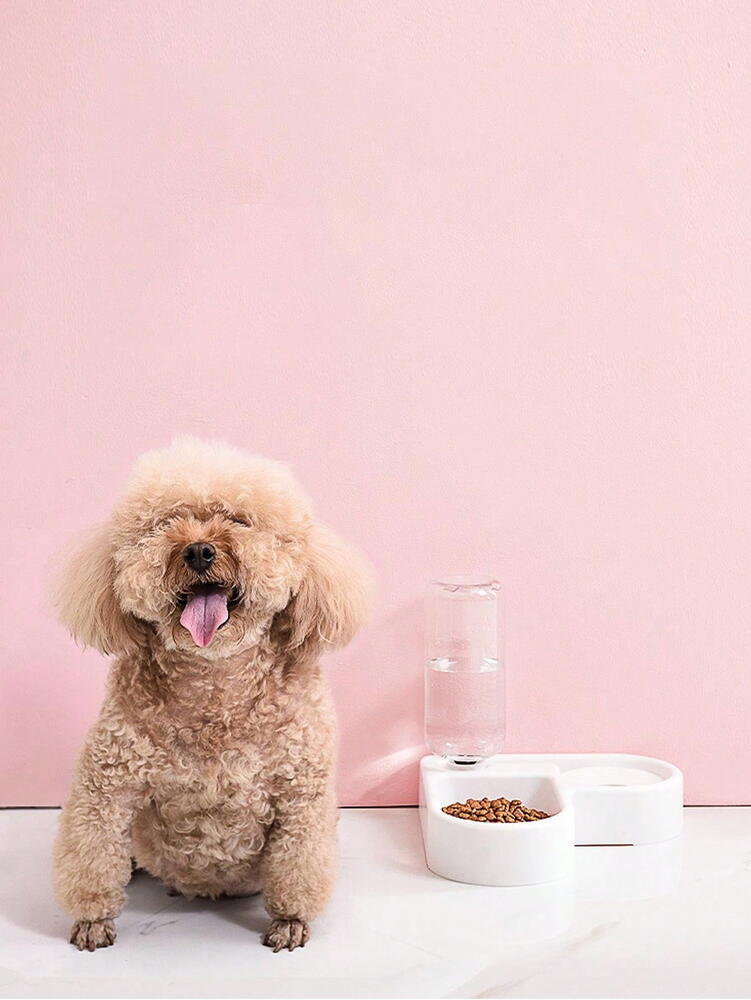 Hranitor animale 2in1 apa si hrana, 500Ml