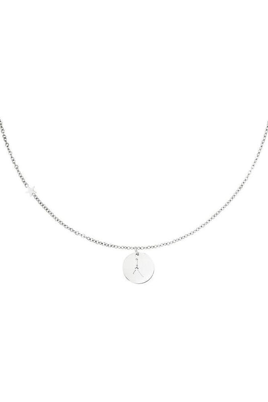 Colier Inox Zodiac Rac